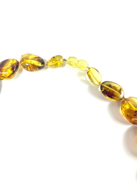 Amber Graduated Bead Necklace with Fossilized Insect