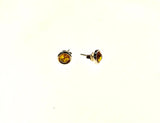 SS Amber Round Studs