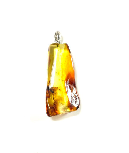 SS Amber Lion Carved Pendant