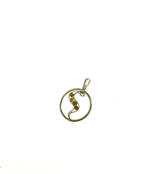SS Amber Snake in Circle Pendant