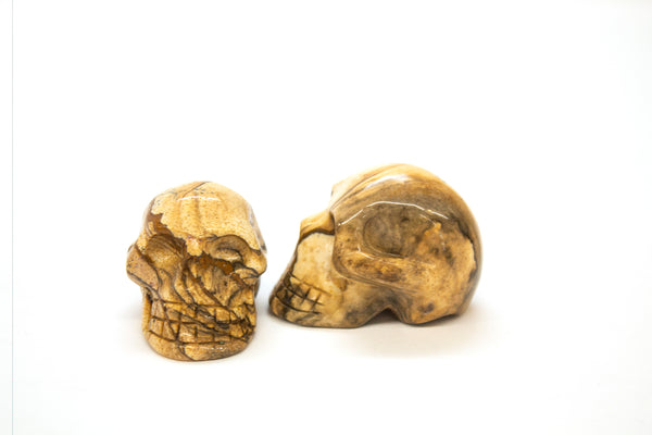 Picture Jasper Skull Carvings