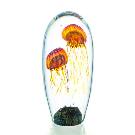 Stuart Abelman Glass Fishbowl Sculptural Paperweight