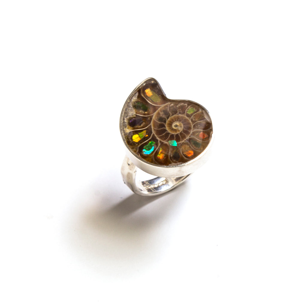 SS Adjustable Ammolite Ring