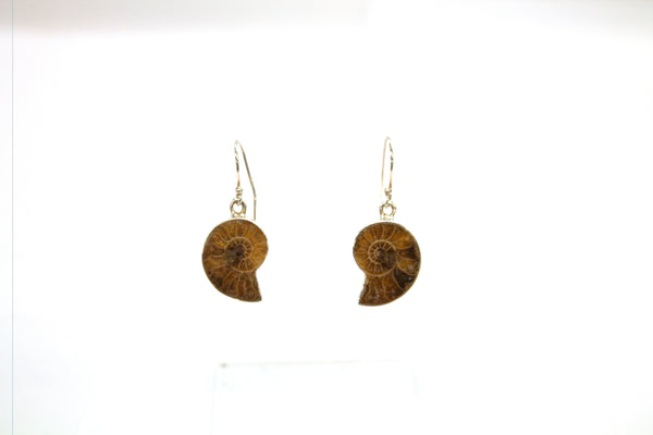 SS Ammonite Bezel Dangle Earrings