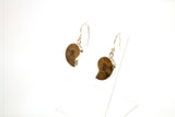 SS Ammonite Bezel Dangle Earrings