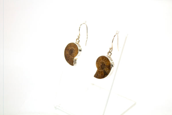 SS Ammonite Bezel Dangle Earrings