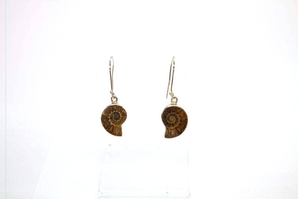 SS Ammonite Bezel Dangle Earrings