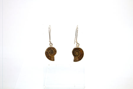 Nickle Plated Ammonite Dangle Earrings