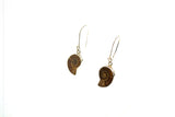 SS Ammonite Bezel Dangle Earrings