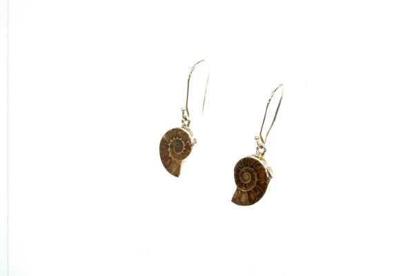 SS Ammonite Bezel Dangle Earrings