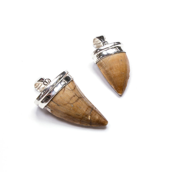 Dinosaur (Mosasaurus) Tooth Pendant
