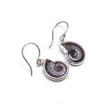 SS Ammonite Bezel Dangle Earrings