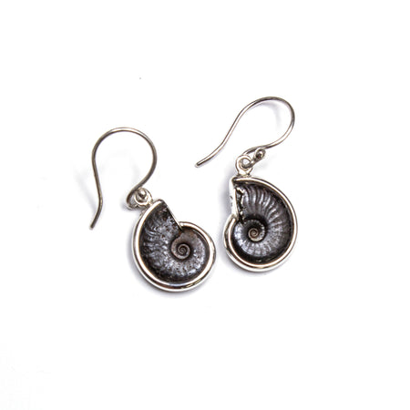 SS Ammonite Bead Wire Dangle Earrings