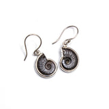 SS Ammonite Bezel Dangle Earrings