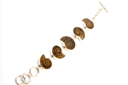 SS Ammonite, Amber & Pearl Toggle Bracelet