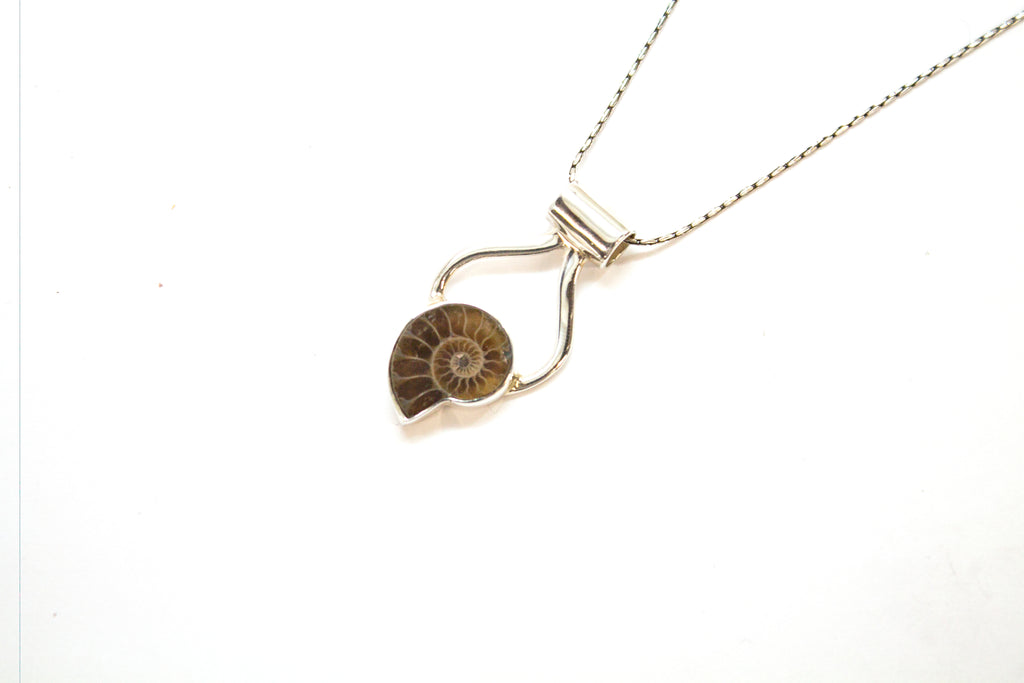 SS Ammonite Pendant and Chain