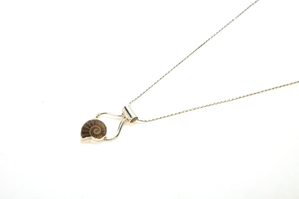 SS Ammonite Pendant and Chain