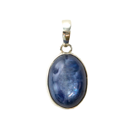 SS Lapis & Kyanite Pears Pendant