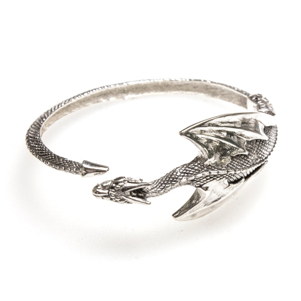 SS Hinged Dragon Bracelet