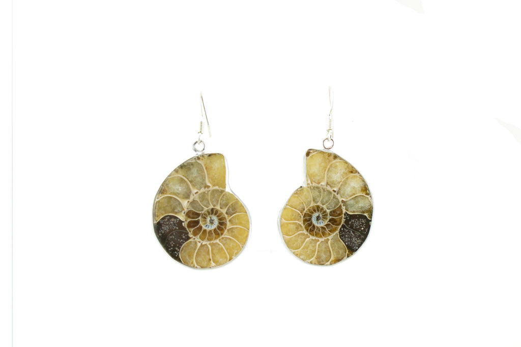 Nickle Plated Ammonite Dangle Earrings