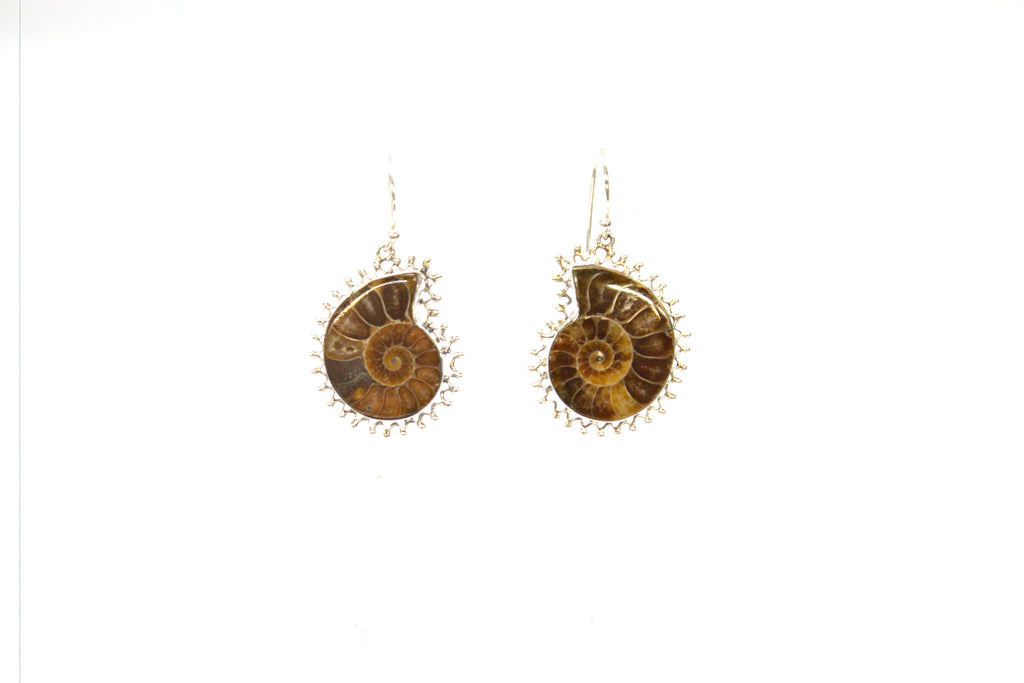 SS Ammonite Bead Wire Dangle Earrings