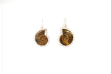SS Ammonite Bead Wire Dangle Earrings