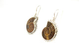 SS Ammonite Bead Wire Dangle Earrings