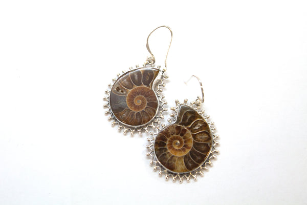 SS Ammonite Bead Wire Dangle Earrings