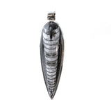 SS Orthoceras Pendant