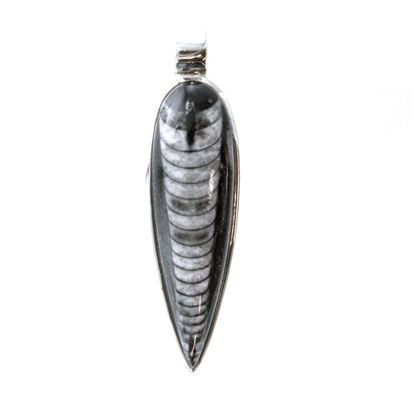 SS Orthoceras Pendant