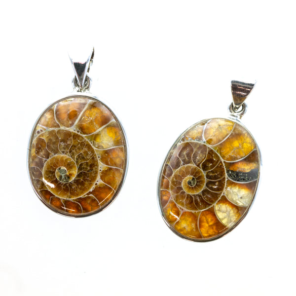 SS Assorted Ammonite Cabochon Pendants