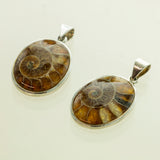 SS Assorted Ammonite Cabochon Pendants