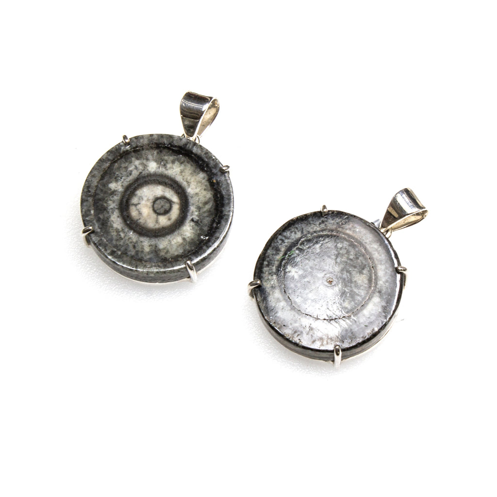 SS Orthoceras Slice Pronged Pendant