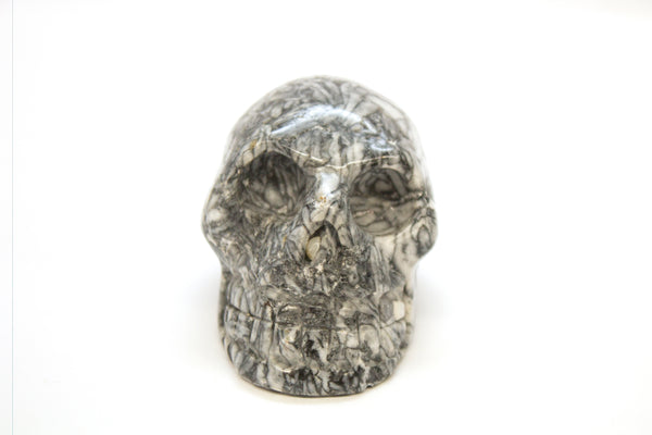Pinolith Skull Carving