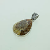 SS Ammonite Pear Pendant with Scroll Bail