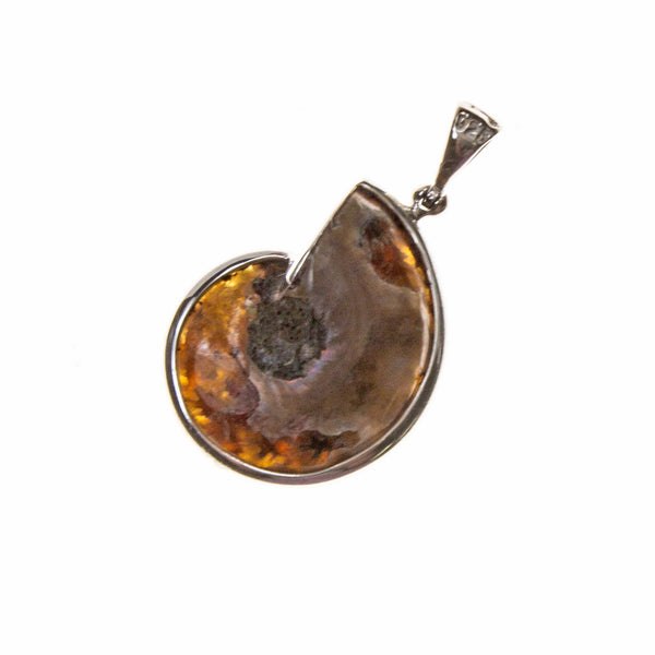 Sterling Silver Ammonite with Abalone Bezel Pendant