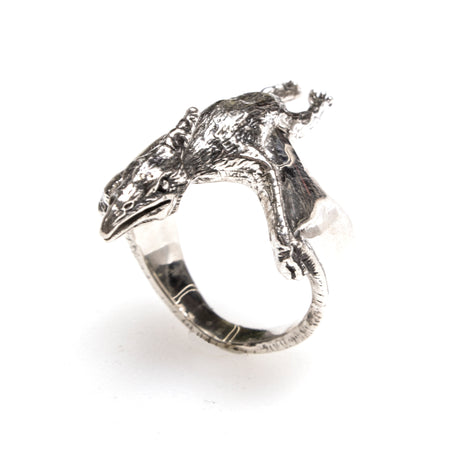 Sterling Silver Backed Meteorite Ring Size 10