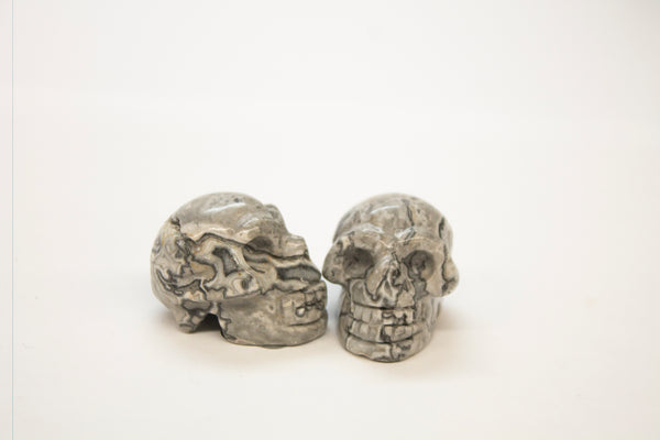 Black and White Jasper Skull Carvings