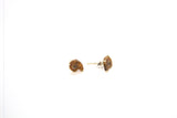 SS Ammonite Studs