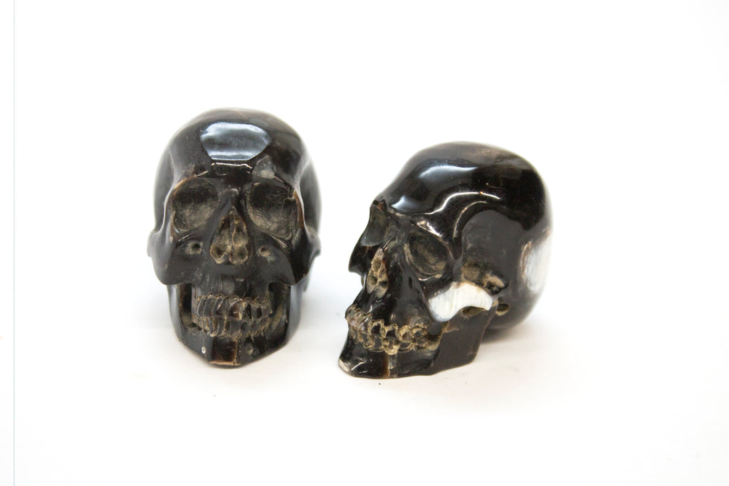 Horn Skull Carvings
