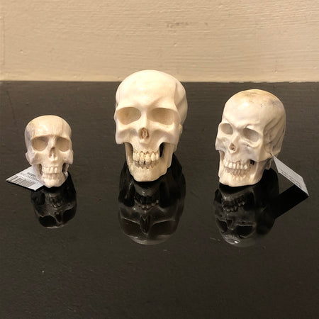 Black and White Jasper Skull Carvings