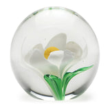 Magnolia Globe Paperweight