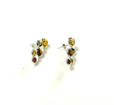 SS Amber Graduated Circle Stud Earrings