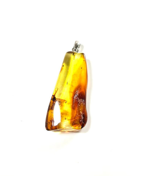 SS Amber Variegated Rectangle Pendant with Visible Insect