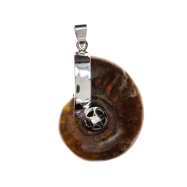 Ammonite Opalized Pendant