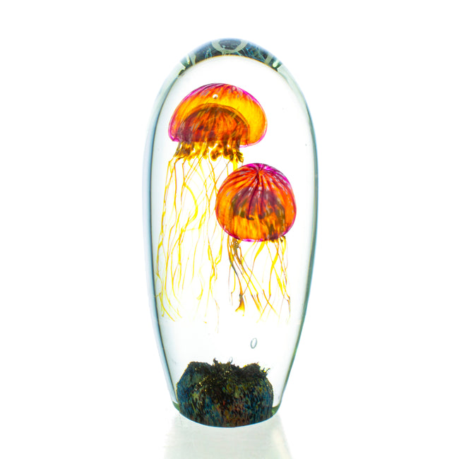 Glass Tropical Moon Jellyfish Sculpture