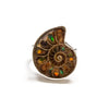 SS Adjustable Ammolite Ring