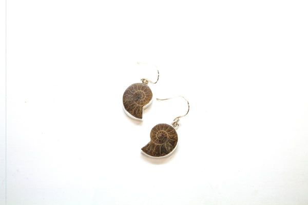 SS Ammonite Bezel Dangle Earrings