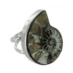 Sterling Silver Ammonite Bezel Ring