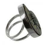Sterling Silver Ammonite Bezel Ring